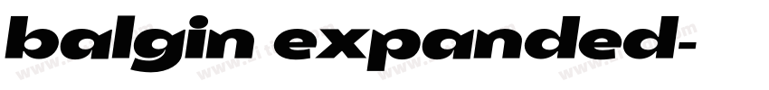 balgin expanded字体转换 balgin expanded字体转换